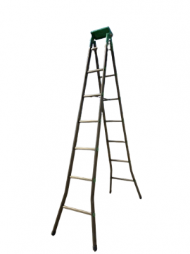 Thang nhôm chữ A 3m